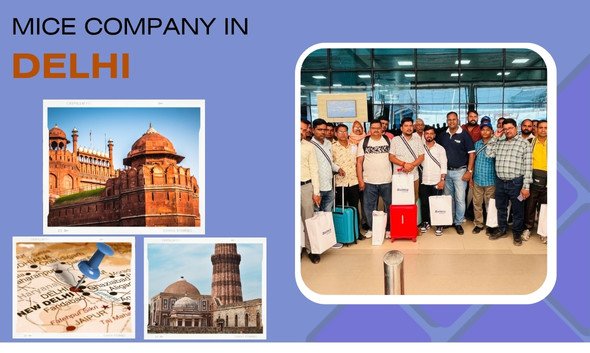HOV- Mice company in Delhi