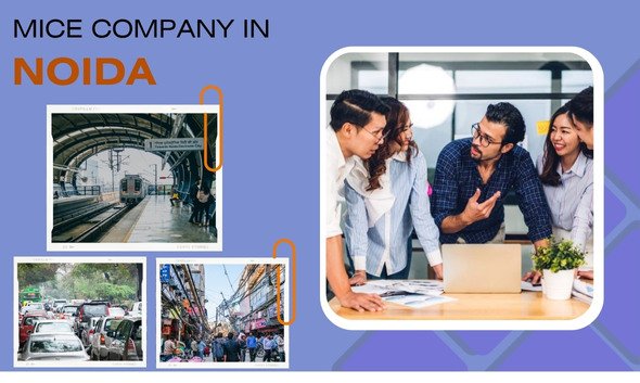 Hov- Mice Company in Noida